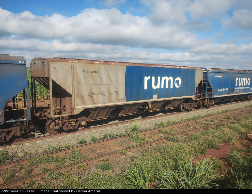 RUMO HPT-031966-0